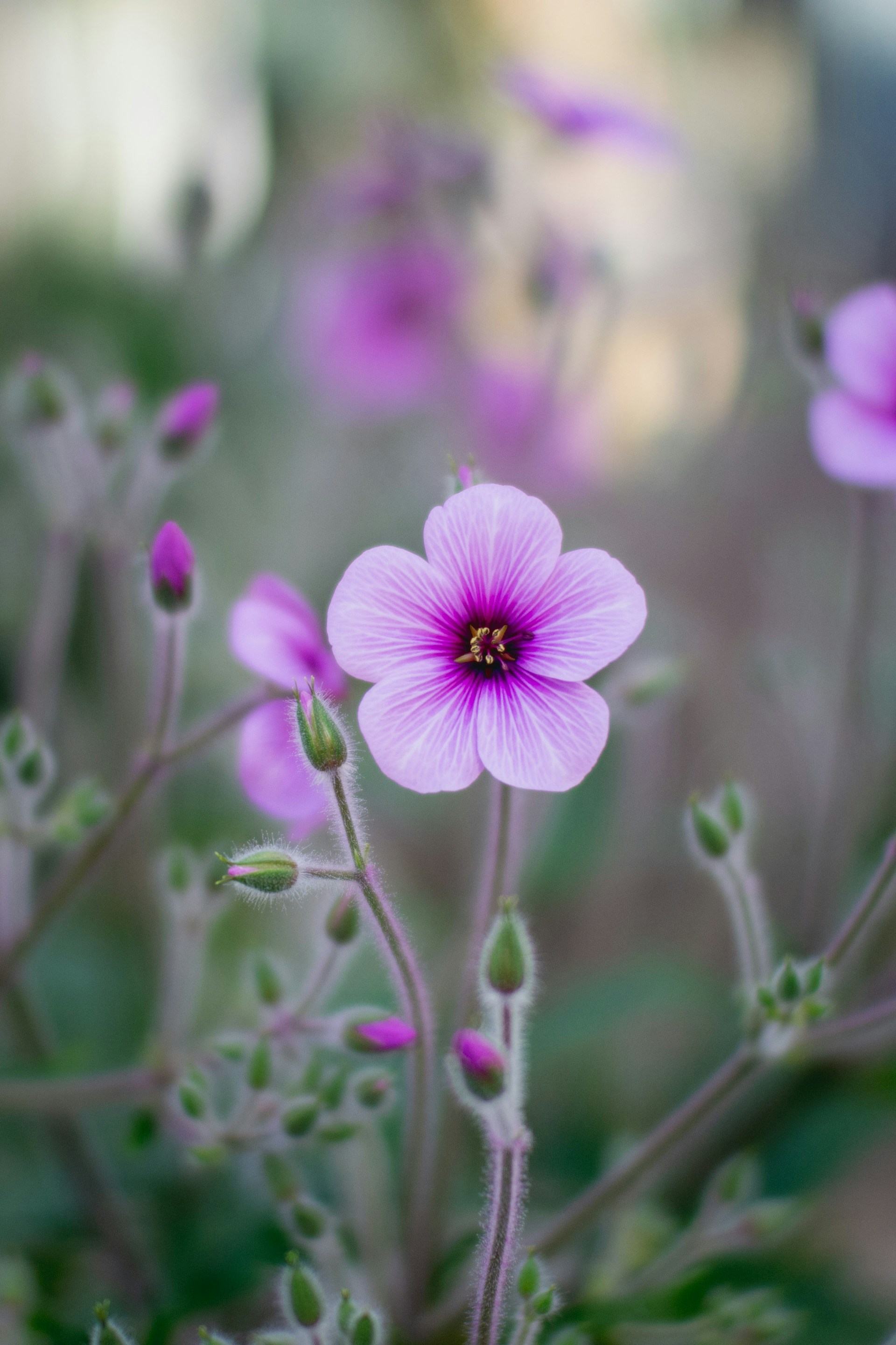 sandra-grunewald-fLl5j9l_0UE-unsplash sandra-grunewald-fLl5j9l_0UE-unsplash
