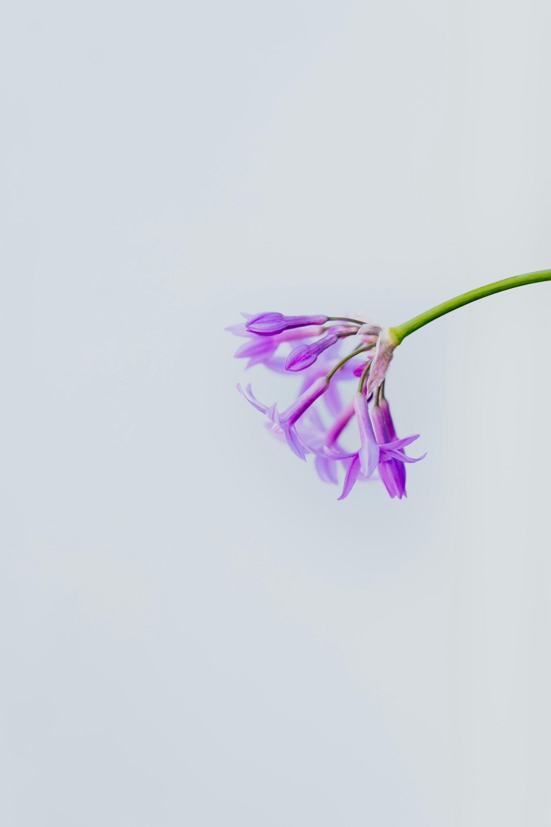 xuan-nguyen-OwL6YS-n94A-unsplash xuan-nguyen-OwL6YS-n94A-unsplash